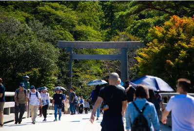 交通指南 & 周邊觀光