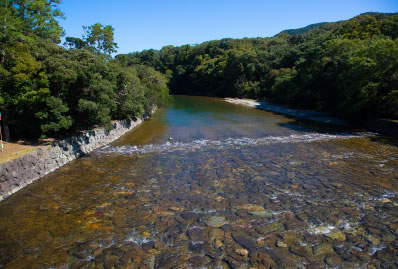 交通指南 & 周邊觀光