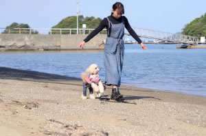 可與寵物同住的客房